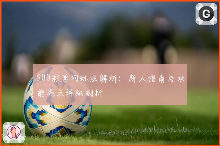 500彩票网玩法解析：新人指南与功能亮点详细剖析