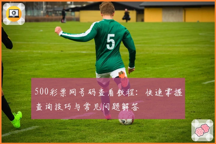 500彩票网号码查看教程:快速掌握查询技巧与常见问题解答