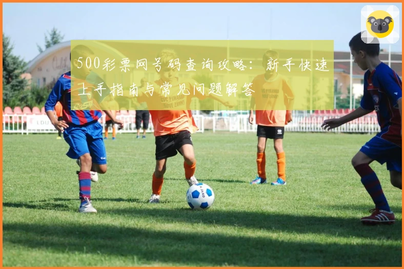 500彩票网号码查询攻略：新手快速上手指南与常见问题解答