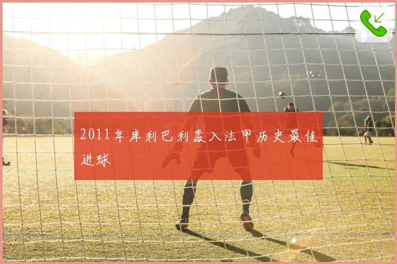 2011年库利巴利轰入法甲历史最佳进球